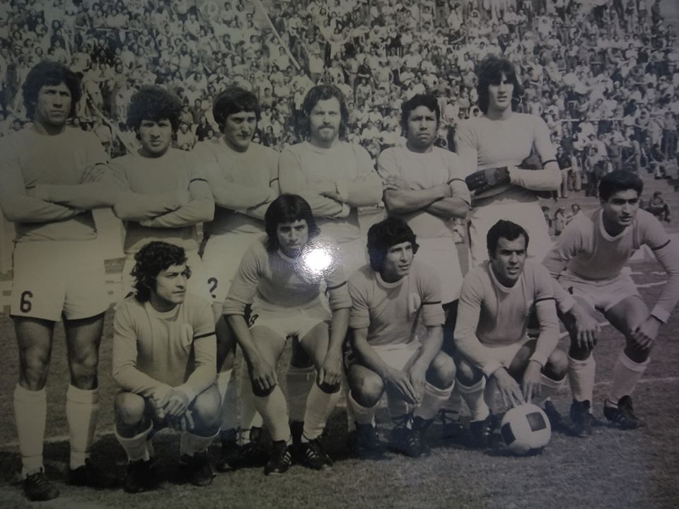Web del Viola  Club Villa Dálmine: Temporada 1975